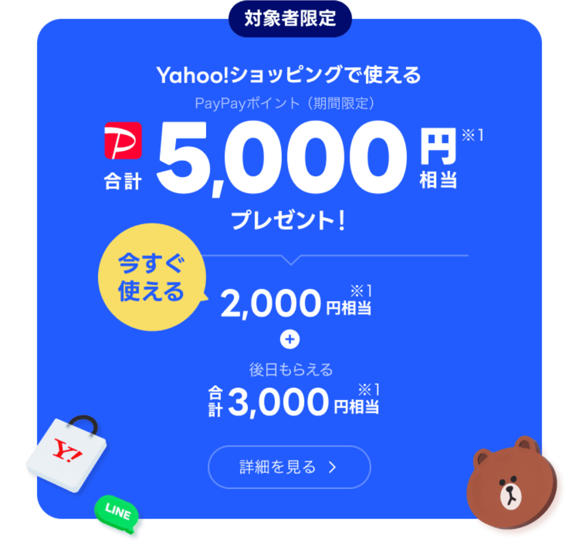 LYPプレミアムキャンペーン